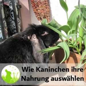 Nahrungsselektion