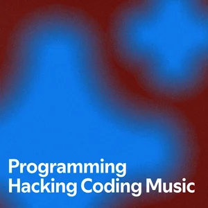 Programming Hacking Codin Coding Playlist Submission