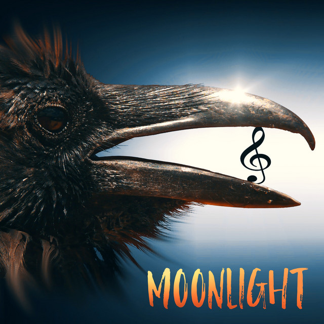 Copertina Spotify di Moonlight