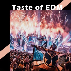 Taste of EDM Spotify playlist cover art