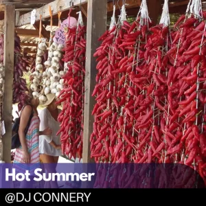 Citaurus Hot Summer playlist cover