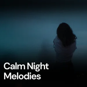 Calm Night Melodies playlist cover