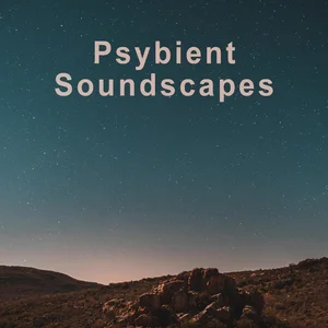 Psybient Soundscapes Spotify playlist cover art