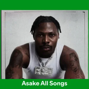 Asake - All Songs 