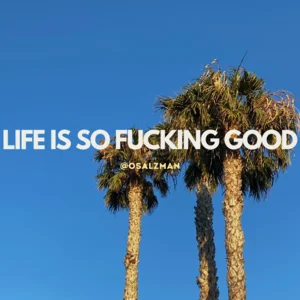 LIFE IS SO FUCKING GOOD Spotify playlist cover art