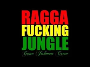 RAGGA JUNGLE cover