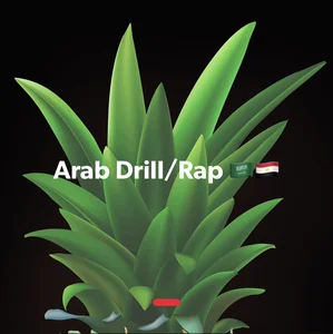 Arabic Rap/Drill 🫰🏼🇸🇦🇪🇬