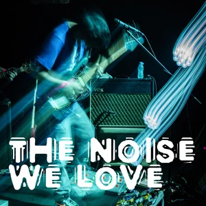 The Noise We Love