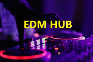 EDM Hub Spotify playlist cover art