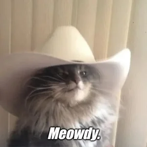 country for people who don't think they like country Spotify playlist cover art