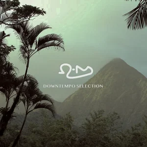 Ohm Downtempo Selection Spotify playlist cover art