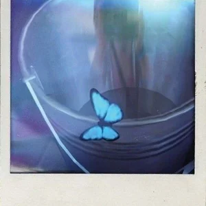 📷🌪🦋 Spotify playlist cover art