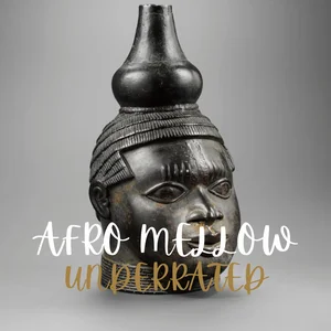 Afro Mellow 2025 Spotify playlist cover art