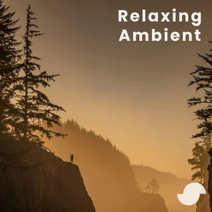 Relaxing Ambient Spotify playlist cover art