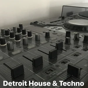 Detroit House Classics 80s & 90s - History of House : Detroit Techno & House - Old School Detroit  - 80s 90s House Classics playlist cover