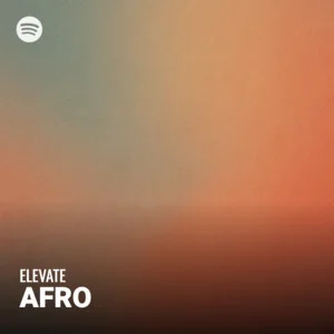 #6. ELEVATE | Afro Afrobeats Playlist Spotify