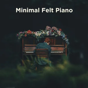 Minimal Felt Piano