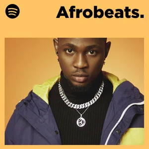 AFROBEATS. playlist cover