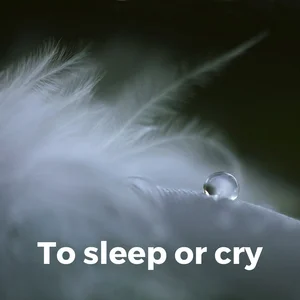 To Sleep or Cry... Spotify playlist cover art