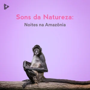 Sons da Natureza: Noites na Amazônia