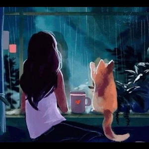 Cover art for rain sounds for sleeping 💤🌧️
