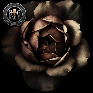 Indie In Bloom (2026)