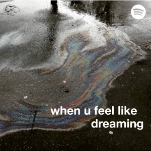 when u feel like dreaming Spotify playlist cover art