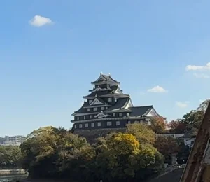 Okayama Through a Folk-Tinted Glass (Mix 2) Spotify playlist cover art