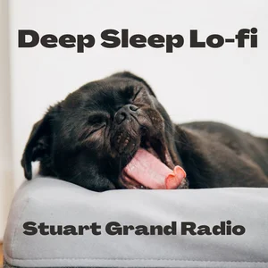Deep Sleep😴Lo-fi Lullaby Rainy Day Super Chill Beats w/Piano Instrumental Wordless Lyricless Insomni playlist cover