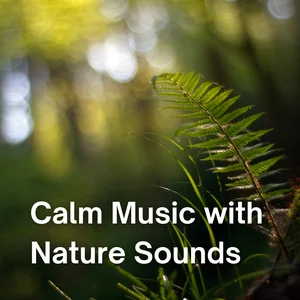 Calm Music & Nature Sounds for Relaxation Spotify playlist cover art