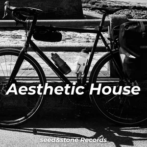 Aesthetic House Spotify playlist cover art