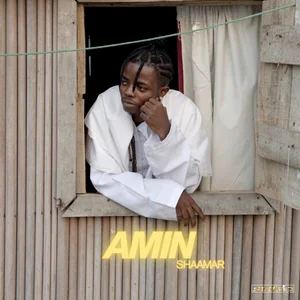 Shaamar - Amin Spotify playlist cover art