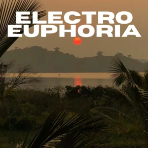 Electro Euphoria Spotify playlist cover art