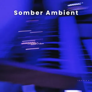 Somber Ambient Spotify playlist cover art