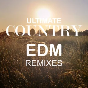 Ultimate Country EDM Remixes 2025 - playlist by Robert Gottwald | Spotify