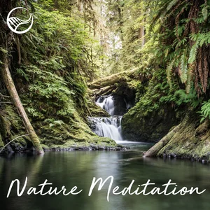 Nature Meditation 🌳 Yoga, Relaxation & Sleep playlist cover