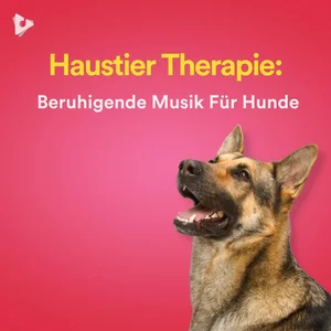 Haustier Therapie: Beruhigende Musik Für Hunde