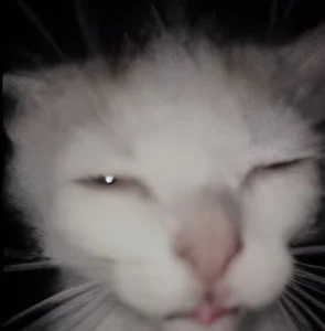 Cover art for Spotify mixes i found on TikTok