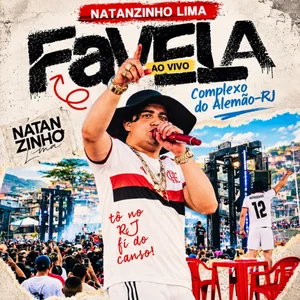 NATANZINHO LIMA - 2027 ATUALIZADO - INSTINTO playlist cover
