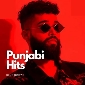 Punjabi Hits Spotify playlist cover art