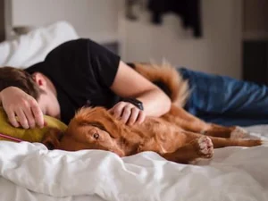 Going To Sleep Spring Playlist Submission