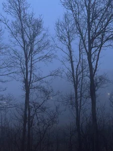 dark ambient & liminal soundscape(NO AI) Spotify playlist cover art