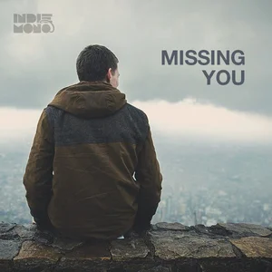 Songs To Cry To When I'm Missing YOU 😢   playlist cover