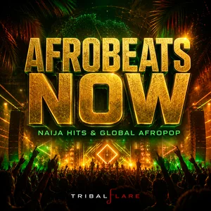 Afrobeats Now | Naija Hit Latin Playlist Submission