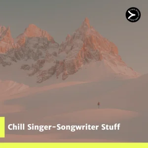 Chill singer-songwriter stuff Spotify playlist cover art