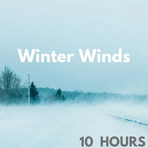 Wind Sounds (10 Hours) Calming Winter Sounds for Sleeping, Relaxation, Stress Reduction, Tinnitus