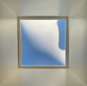 a malingered syzygy Spotify playlist cover art