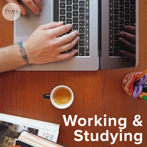 Quiet Music for Working and Studying Spotify playlist cover art