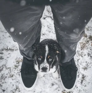 Morning Coffee ☕ Soft Lounge, Downtempo & Ambient Chill Spotify playlist cover art