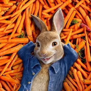 Peter Rabbit (2018) Soundtrack - playlist by Kayden Gair | Spotify